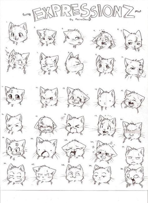 Cat Emotions Drawing, Cartoon Cat Reference, Cute Cat Animation, Cat Hand Drawing, Cartoon Cat Drawing, Cat Expressions, Cartoon Expression, Cat Drawing Tutorial, Cats Art Drawing