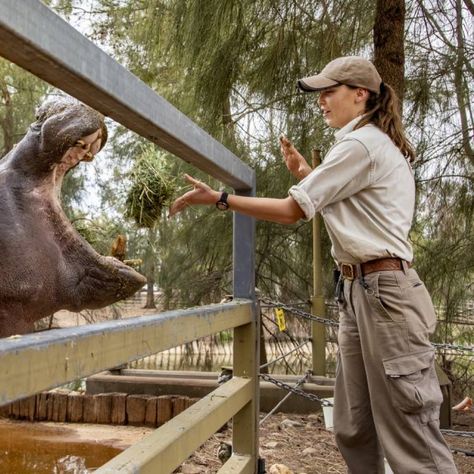 Zookeeper Costume Female Explorer Aesthetic, Zookeeper Aesthetic, Zookeeper Outfit, Zookeeper Costume, Aesthetic Costumes, Explorer Aesthetic, Explorer Costume, Zoo Outfit, Outfits Professional