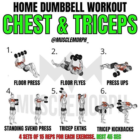 MuscleMorph® | Morph Yourself sur Instagram : « 🔥CHEST & TRICEPS DUMBBELL WORKOUT🔥by @musclemorph_ No bench needed! Just a pair of dumbbells 💪🏻 TAG, SAVE, LIKE & SHARE 🙌🏻 Want INSTANT… » Darbee Workout, Tricep Workout With Dumbbells, Dumbbell Workout Plan, Arm Workout Men, Dumbbell Chest Workout, Chest And Tricep Workout, Dumbbell Exercise, Chest Exercise, Workout Chest