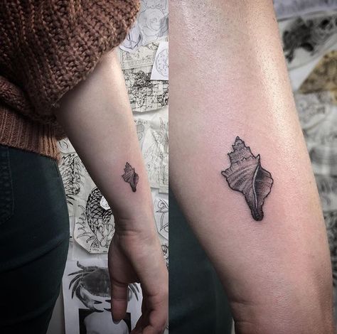 Junonia Shell Tattoo, Whelk Shell Tattoo, Small Conch Shell Tattoo, Conch Tattoo Shell, She Tattoo, Conch Shell Tattoo, Sea Life Tattoos, Hawaii Tattoo, Shell Tattoo