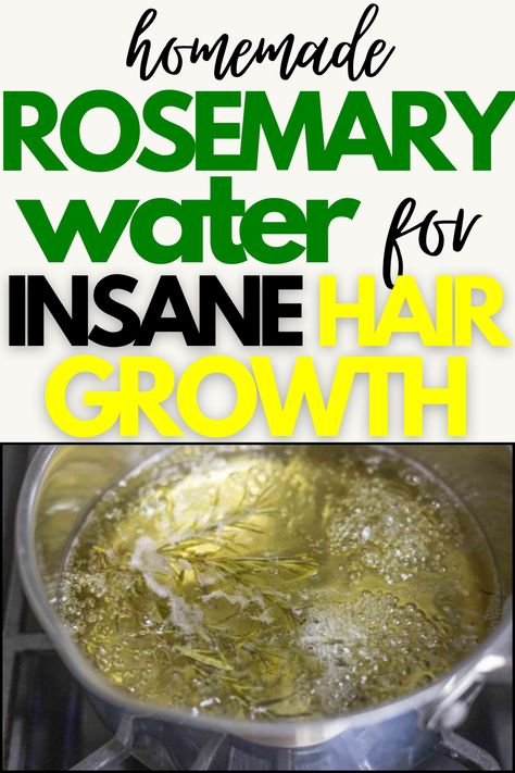 How To Make Rosemary Water For Hair Growth – The Curly Hair Journey Rosemary Water Benefits, Rosemary Water For Hair Growth, Rosemary For Hair Growth, Rosemary For Hair, Control Hair Fall, Water Hair Growth, Rosemary Hair Growth, Rosemary Water, Dried Rosemary