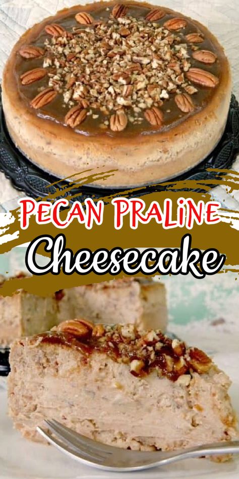 A rich, dense cheesecake filled with pecans. True praline flavor all the way through and the top never cracks! #cheesecake #recipe #pecan #thanksgiving No Bake Pecan Praline Cheesecake, Praline Cheesecake Recipes, Easy Pecan Cheesecake Recipes, Praline Pecan Cheesecake, Pecan Praline Cheesecake, Pecan Praline Cheesecake Recipe, Pecan Praline Topping For Cheesecake, Pecan Crust For Cheesecake, Pumpkin Cheesecake With Praline Topping