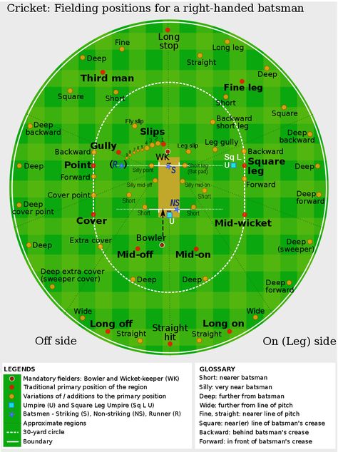 Cricket: Fielding positions for a right-handed batsman Cricket Rules, Cricket Field, Cricket Coaching, Cricket Quotes, Ms Dhoni Wallpapers, Tennis Training, Cricket Tips, Cricket Games, World Cricket