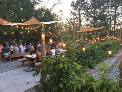 Small Beer Garden Ideas, Rustic Beer Garden, Outdoor Garden Restaurant Ideas, Outdoor Beer Garden Ideas, Beer Garden Ideas Backyard, Pub Garden Ideas, Beer Garden Aesthetic, Garden Cafe Design Outdoor Coffee Shop, Garden Restaurant Outdoor