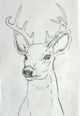 Deer Sketch, Deer Drawing, Animal Drawings Sketches, Deer Art, 수채화 그림, Arte Sketchbook, A Deer, Pencil Art Drawings, Art Drawings Sketches Creative