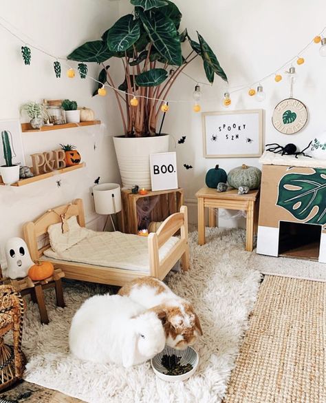 Boho Bunny Room, Bunny Free Roam Area, Bunny House Decor, Indoor Bunny Setup Diy, Rabbit In Bedroom, Bunny Setup In Bedroom, Freeroam Bunny Setup, Rabbit Set Up Indoor Aesthetic, Bunny Cage Setup Ideas