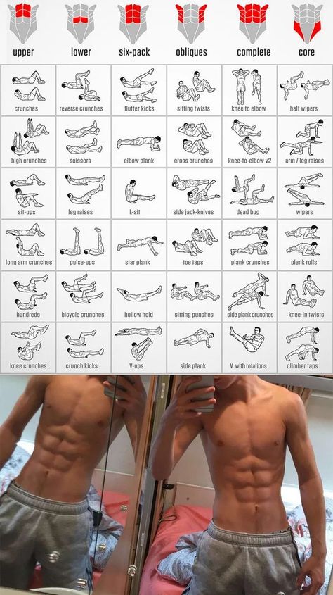 Free Weight Workout, Latihan Dada, Sixpack Workout, Gym Workout Planner, Beginner Workouts, Modele Fitness, Gym Abs, Gym Workout Chart, Workout Routine For Men