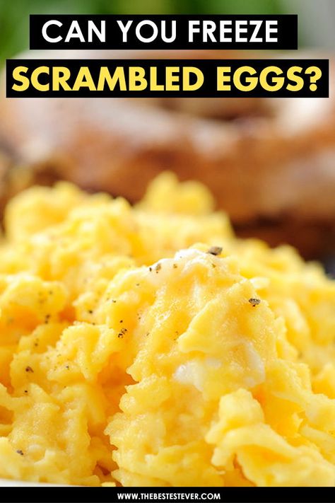 Make Ahead Eggs Scrambled, Egg Sandwiches To Freeze, Freezing Eggs Cooked, How To Freeze Cooked Eggs, Freezer Eggs Recipes, Can You Freeze Scrambled Eggs, Bulk Scrambled Eggs, Freezer Friendly Egg Recipes, How To Freeze Scrambled Eggs