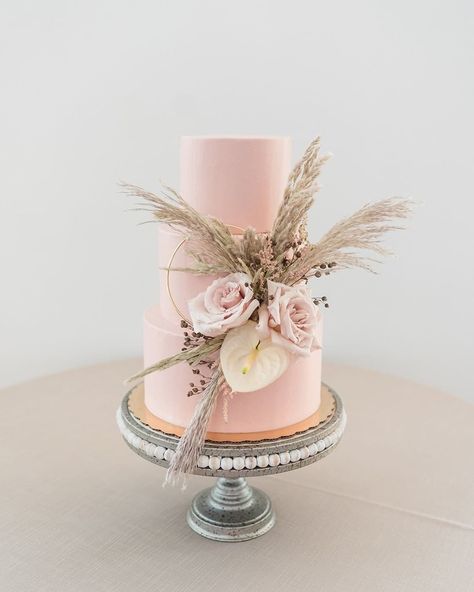 Lulus Weddings on Instagram: “we're so here for the pampas grass detailing on this cute as can be cake 💗🌾✨ photographer @mandylizphotography planner and designer…” Boho Cakes, Blush Pink Wedding Cake, Cake Pretty, Blush Wedding Cakes, Vegan Wedding Cake, Blush Wedding Inspiration, Wedding Setup, Cake With Flowers, Boho Wedding Cake