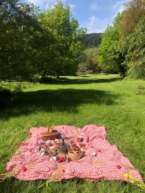 Seasons Aesthetic, Spring Bucket List, Picnic Date Food, Unique Date Ideas, Picnic Inspiration, Exam Time, Cottage Aesthetic, Picnic Birthday, Aesthetic Couple