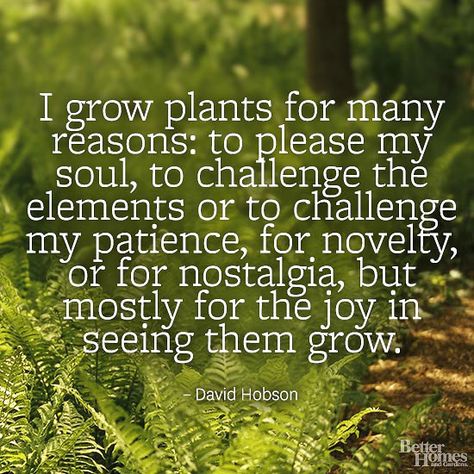 "I grow plants for many reasons: to please my soul, to challenge the elements or to challenge my patience, for novelty, or for nostalgia, but mostly for the joy in seeing them grow." -David Hobson  More garden quotes: http://www.bhg.com/gardening/garden-quotes/?socsrc=bhgpin042114gardenquotehobson Interesting Quotes About Life, Plants Quotes, Grow Plants, Garden Quotes, Landscape Designs, Have Inspiration, Round Rock, Interesting Quotes, Garden Signs