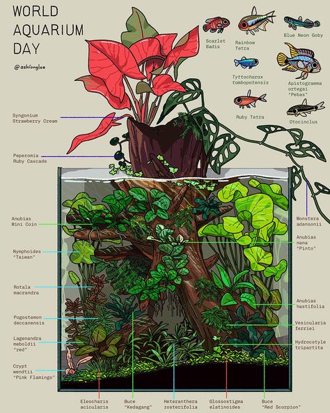 Small Tank Aquascape, Pond Tank Aquarium Ideas, Tropical Aquarium Design, Unique Aquarium Decor, Plant Only Aquarium, Natural Planted Aquarium, Growing Aquarium Plants, Small Aquascape Ideas, Bamboo In Aquarium