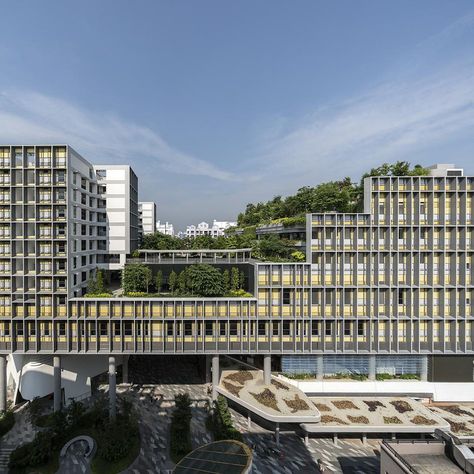 WOHA Wins 2018 Building of the Year at the World Architecture Festival Woha Architecture, Relief Architecture, Residence Facade, Tower Facade, Hotels Near Disneyland, Building Blocks Design, Terrace Building, World Architecture Festival, World Architecture