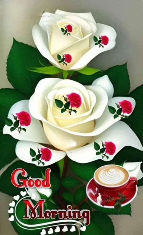 What Makes Us Human, Good Morning Rose Images, Good Morning Gift, Good Morning Posters, Good Morning Message, Good Morning Wishes Gif, Good Evening Greetings, Good Morning Greeting Cards, Good Morning Flowers Rose