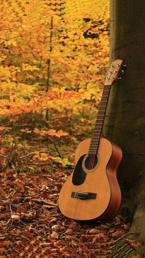 Instrument Wallpaper, Wallpaper Guitar, Guitar Wallpaper, Guitar Music, Musical Instrument, Acoustic Guitar, Musical, Guitar, Forest