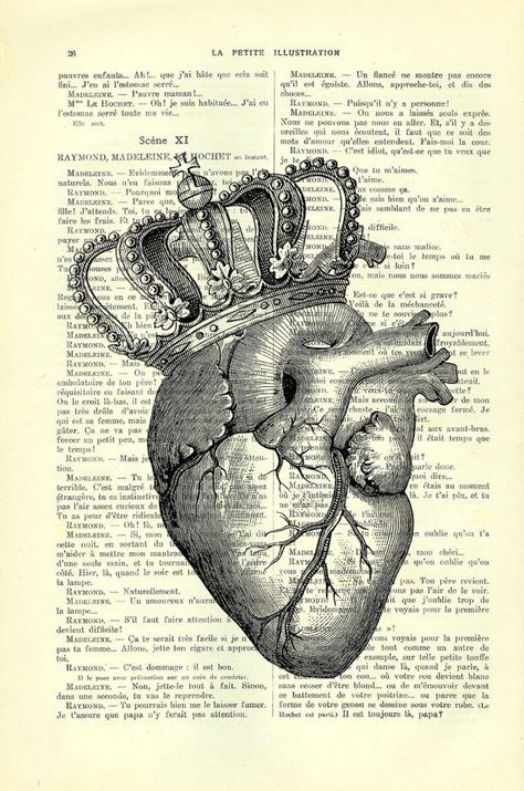 Anatomical phenomenal. Anatomical Heart Art, Anatomical Heart Tattoo, Crown Drawing, Crown Art, Tattoo Heart, Marquesan Tattoos, Heart Vintage, Heart Crown, Dictionary Art Print