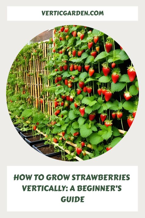 Love strawberries but lack space to grow them? We have a great solution: vertical gardening. By making your strawberries grow up instead of out, you can How To Grow Strawberries Vertically, Container Berries, Strawberry Growing Ideas, Grow Strawberries Vertically, Vertical Strawberry Garden, Vertical Strawberries, Growing Strawberries Indoors, Growing Strawberries Vertically, Strawberry Planters Diy