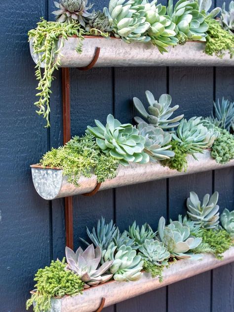 Hanging Plants Wall Art, Plant Wall In Spa, Indoor Plants Wall Shelves, Outdoor Wall Shelves Patio, Wall Plants Indoor Shelves, Corner Shelves With Succulents, Modern Wall Shelf For Plants, Floating Shelves Herb Garden, Wall Planters Shelf