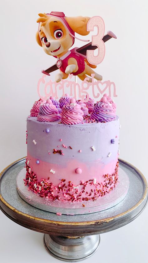 Sprinkle mix: Pink Paw-ty -- Cake by @midnite.creations -- #pawpatrolcakes #pawpatrolcake #charactercake #charactercakes #kidscakes #buttercream #birthdaycake #funfetticake #biscoffcake #delicious #cakesdaily #cotd #cakeit #childrenscake #blueandred #cakespiration #scarboroughcakes #midnitecreations Skye Themed Birthday Party, Sky Paw Patrol Cake Ideas, Girly Paw Patrol Cake, Skye Paw Patrol Cake Ideas, Paw Patrol Cakes For A Girl, Sky Birthday Cake Paw Patrol, Girl Paw Patrol Birthday Party, Skye Cake Paw Patrol, Pink Paw Patrol Party Ideas