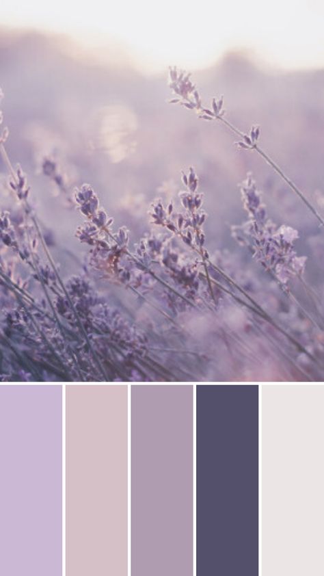 Calm, luxurious, high-end, safe, clean, fresh. Purple Colors Aesthetic, Calm Bedroom Color Schemes, Fresh Color Palette For Home, Colors That Go Good With Purple, Purple Pallete Color Pastel, Lilac Pallet Colour Palettes, Purple Color Palette Aesthetic, Pastel Colour Bedroom Ideas, Lilac Pallete