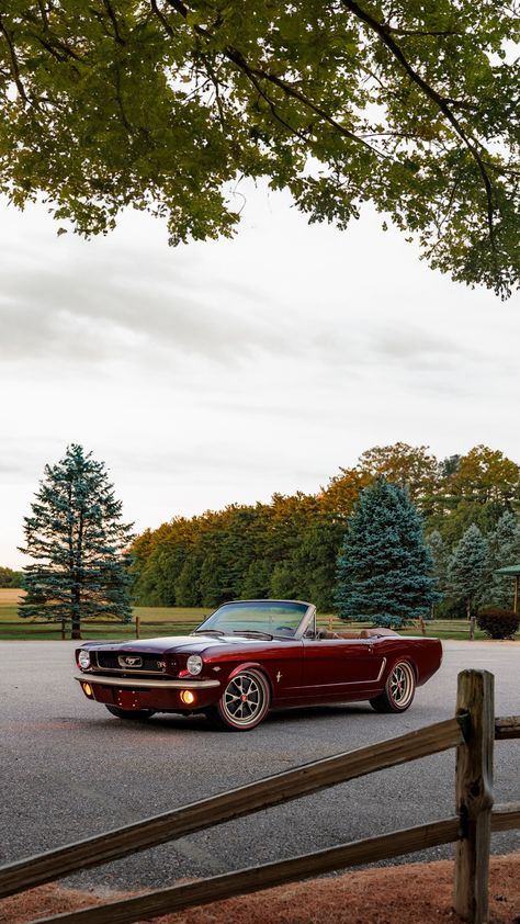 Ringbrothers Ford Mustang Convertible Uncaged 1965 Engine: 5.0L V8 Power: 343 kW / 466 hp Torque: 570 Nm / 420 lb-ft Vintage Cars Photography, Old Ford Cars, Old School Mustang, Vintage Cars Aesthetic, 1980 Mustang, Old Mustang, 1965 Mustang Convertible, 1965 Ford Mustang Convertible, 1970 Mustang