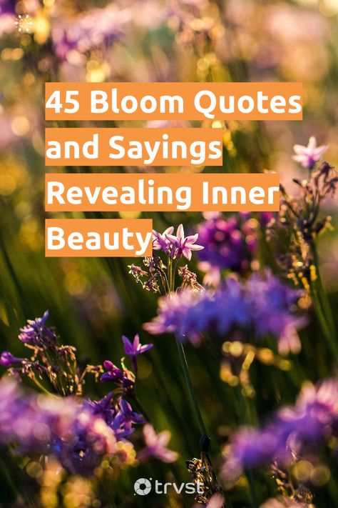 "45 Bloom Quotes and Sayings Revealing Inner Beauty"- To bloom is to produce flowers that, as we all know, are reproductive, striking, and often beautiful parts of a plant. After blooming, trees make the fruits we eat and enjoy. Like in life, blooming is analogous to revealing the inner beauty and strengths that have always been inside... #trvst #quotes #sustainableliving #nature #beauty #trees #flowers #life #plant #earth #gogreen #volunteer #thinkgreen Plant Growing Quotes Life, Quotes About Beauty On The Inside, Bloom Where You Are Planted Printable, Bloom Quotes Flower, Bloom Sayings, Plant Sayings Quotes, Flowers Blooming Quotes, Plant Quotes Life Inspiration Thoughts, Bloom Where You Are Planted Quote