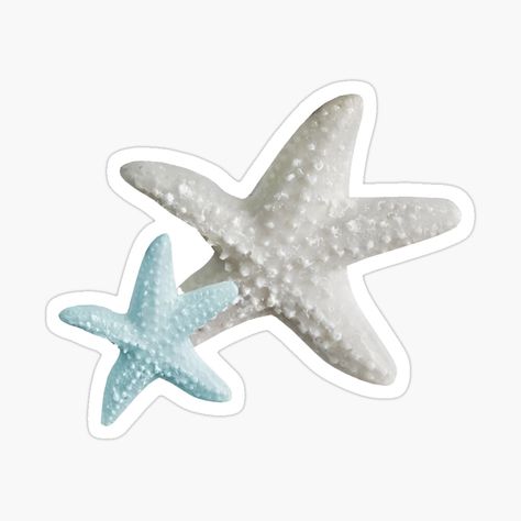 Blue & White Starfish #summer #starfish #bluesticker #whitesticker Get my art printed on awesome products. Support me at Redbubble #RBandME: https://www.redbubble.com/i/sticker/Blue-and-White-Starfish-by-HappyPeel/161371197.JCQM3?asc=u Star Fish Aesthetic, Beach Green Aesthetic, Coastal Stickers, Blue Stickers Aesthetic, Starfish Sticker, Coastal Collage, Textiles Gcse, Cousins Beach, Star Fish