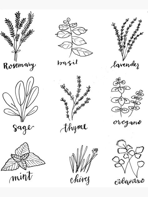 "Ink herb doodles" Art Print by starbucksjoy | Redbubble Herb Doodles, Herb Tattoo, Herb Embroidery, Herbs Illustration, Plant Doodle, Ink Doodles, Doodles Art, Journal Idea, Culinary Herbs