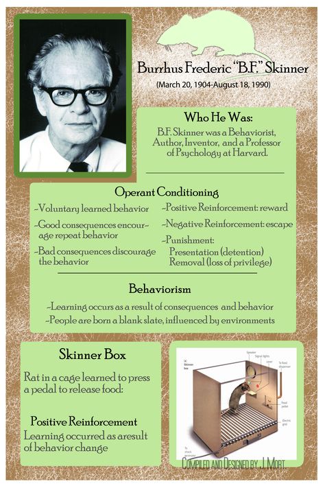 Burrhus Frederic "B.F." Skinner poster for psychology.  Compiled by Jeff Mortensen Behaviorism Theory, B.f Skinner, Bf Skinner, B.f. Skinner Psychology, Behaviour Analysis, Behaviourist Approach Notes, Freud Stages Of Development, Change Behavior, Teaching Psychology