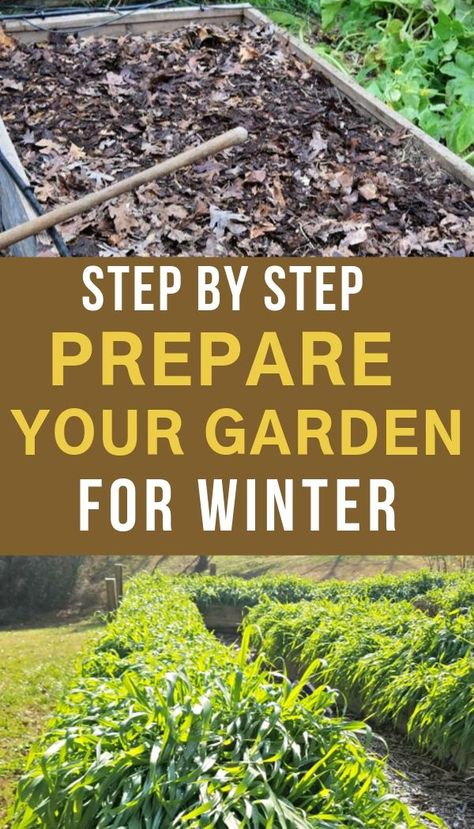 Winterizing Vegetable Garden, How To Winterize Your Garden, How To Winterize Your Vegetable Garden, How To Prepare Garden For Winter, Preparing Garden For Winter, Prepping Garden For Winter, How To Winterize Garden Beds, How To Winterize Raised Garden Beds, Winterizing Raised Garden Beds