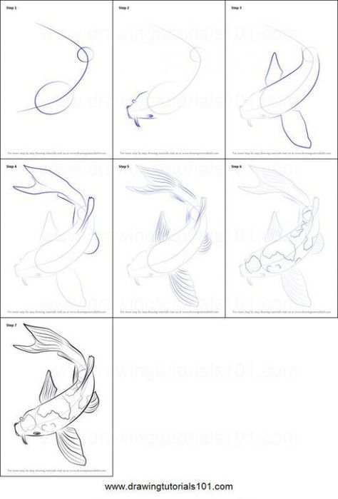 Step By Step Sketches, Koi Fish Drawing, Drawn Fish, Koi Art, Drawing Sheet, Watercolor Fish, Fish Drawings, Doodle Designs, Step Drawing