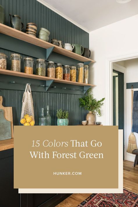 Green Kitchen Feature Wall, Forest Green Paint Color Accent Walls, Cabin Green Paint, Forest Green Bathroom Walls, Curtains For Forest Green Bedroom, Colors That Compliment Forest Green, Teal And Forest Green, Kitchen Forest Green, Forest Green Palette Color