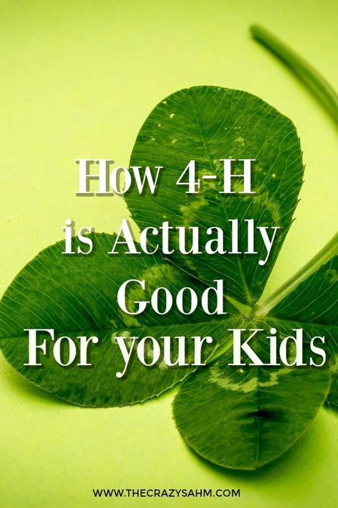 WHY 4-H IS ACTUALLY GOOD FOR YOUR KIDS 4 H Clover, 4h Projects, 4h Ideas, 4 H Club, Farm Kids, Kid Friendly Activities, Country Kids, Club Ideas, Mom Bloggers