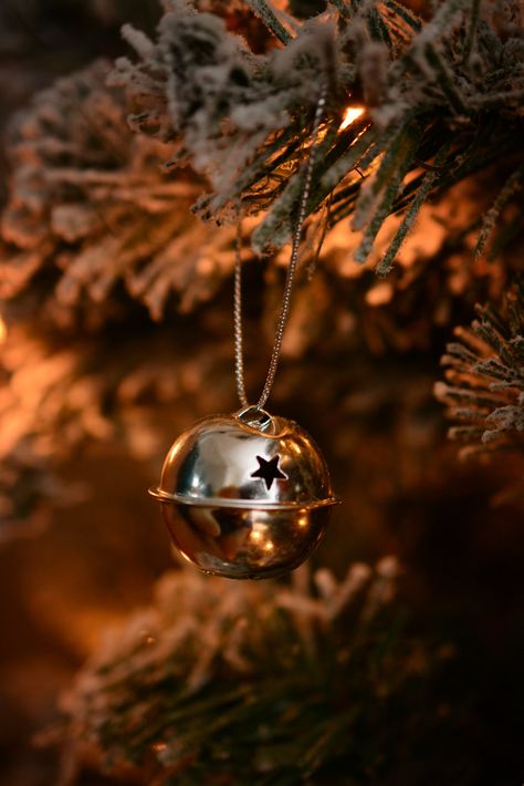 Silver Bells | A simple ornament from the Christmas tree. Ho… | Flickr Christmas Tree Ornaments Aesthetic, Christmas Bells Aesthetic, Christmas Tree With Bells, Silver Christmas Aesthetic, Bell Aesthetic, Silver Bells Christmas, Enchanted Christmas, Winter Ball, Silver Bells