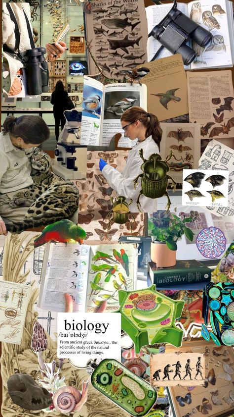 #naturalistcollage #collage #biology #biologystudent #biologyaesthetic #biologyshuffle #student #studentcore #science Biological Sciences Wallpaper, Science Students Aesthetic, Biological Sciences Aesthetic, Biology Moodboard, Scientist Aesthetic Biology, Science Aesthetic Biology, Biology Collage, Biology Aesthetic Wallpaper, Microscope Aesthetic