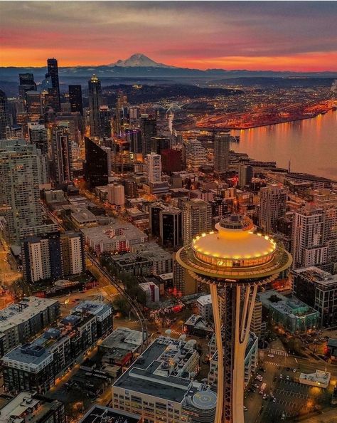 #Seattle Must See - ✈ #downtownseattle in #Washington, the most beautiful state in the Pacific Northwest🌲. #pnw 🌳 #tourism #tourismseattle 🛫 #travel #travelseattle #WashingtonState #whattosee #spaceneedle #emeraldcity #pacificnw #pioneersquare #pwntravel #greatwheel #centurylinkfield #cityofseattle Pnw Aesthetic, City Pics, Seattle Photos, Seattle Travel, Sleepless In Seattle, Space Needle Seattle, Seattle City, Moving To Seattle, Downtown Seattle