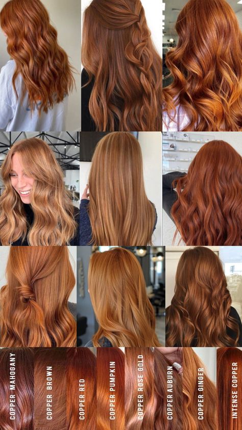 7r Hair Color, Ginger Shades Hair Colors, Ginger Tones Hair, Different Shades Of Copper Hair, Dark Copper With Highlights, Copper Auburn Hair Color Balayage, Types Of Red Hair Shades, Orange Beige Hair, Light Golden Copper Hair