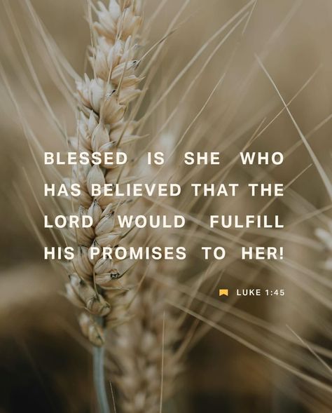 ”Blessed is she who has believed that the Lord would fulfill his promises to her!” -Luke‬ ‭1‬:‭45‬ ‭NIV‬‬ Do you believe? Luke 1 45, Lord King, Biblical Marriage Quotes, Bible Verse Background, Blessed Is She, Bible Quotes Images, Beautiful Prayers, Christian Bible Quotes, Prayer Verses