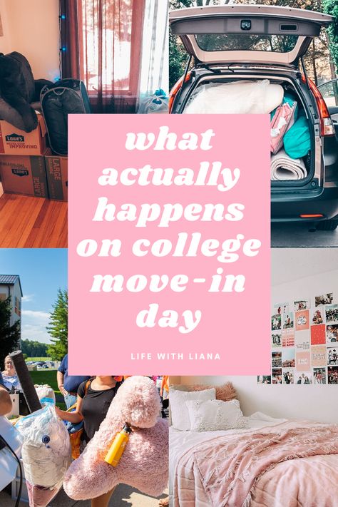 Majors In College, College Freshman Survival Kit, College Freshman Advice, College Dorm Checklist, Move In Day, Dorm Checklist, Freshman Advice, College Mom, Freshman Tips