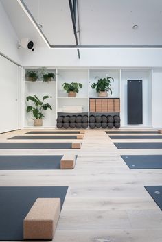 Yoga Room Organization, Yoga Studios Design Interiors, Yoga Studio With Plants, Yoga Studio Design Interiors, Small Yoga Studio Design, Yoga Studio Interior, Sala Yoga, Yoga Room Design, Home Yoga Room