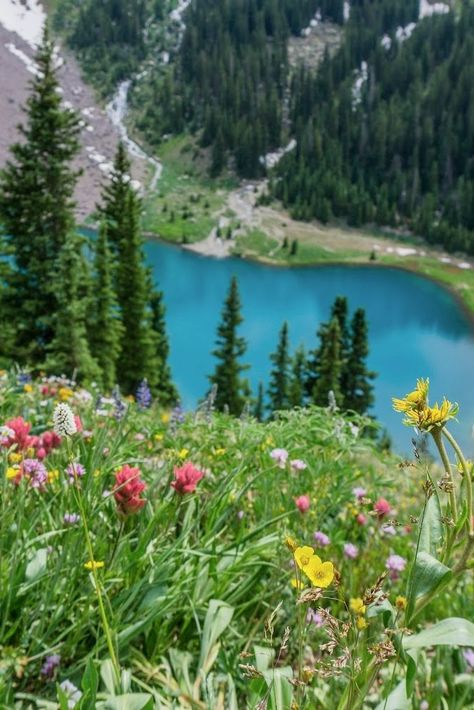 Looking for adventure and breathtaking views? Colorado has some of the best hikes in the US. Check out our list of must-do hiking trails! We've strapped on our boots and logged loads of miles all over the Rocky Mountains. From day hikes to 14ers and even a challenging backpacking trip, we unpack our Aspen Colorado Summer, Colorado Quotes, Colorado Springs Hikes, Denver Itinerary, Denver Bucket List, Hikes Near Denver, Colorado Hiking Trails, Colorado Hikes, Things To Do In Denver