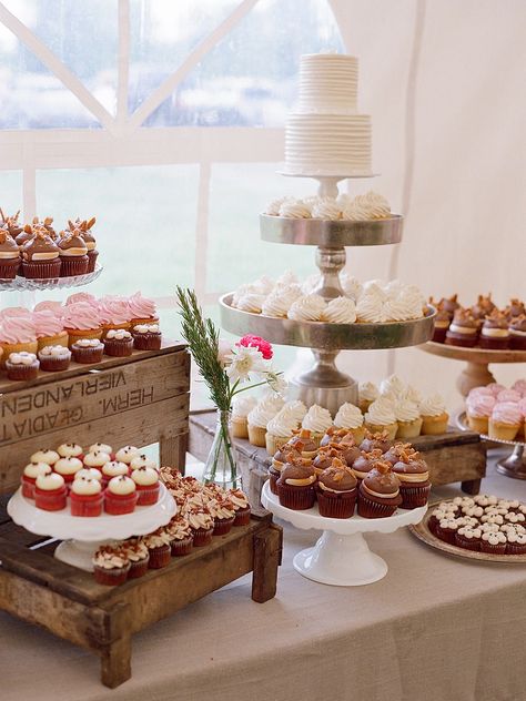 Wedding Cupcake Table, Cupcake Table, Wedding Cake Display, Dessert Original, Small Wedding Cakes, Wedding Cake Table, Cupcake Display, Wedding Dessert Table, Rustic Wedding Cake