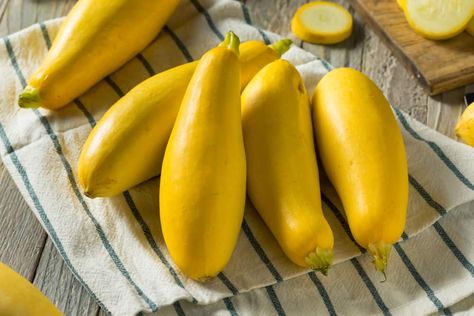 White Patty, Golden Zucchini, Yellow Crookneck Squash, Sweet Dumpling Squash, Squash Types, Crookneck Squash, Growing Squash, Buttercup Squash, Squash Bugs