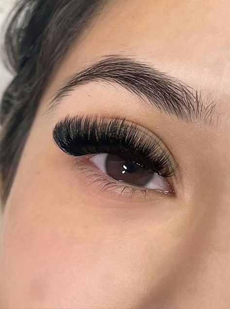 D Curl Lash Extensions Volume, D Curl Volume Lashes, D Curl Lashes Extensions, Lash Extensions Curls, Mega Eyelash Extensions, Mega Volume Lash Extensions Mapping, Mega Lash Extensions, Full Lash Extensions, D Curl Lash Extensions