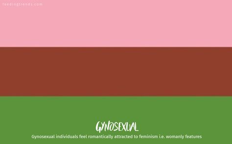 Gynosexual Flag, Equality Pride, Lgbt Quotes, Pride Stuff, One Sided Relationship, Attracted To Someone, Lgbtq Flags, Lgbt Flag, Pansexual Pride