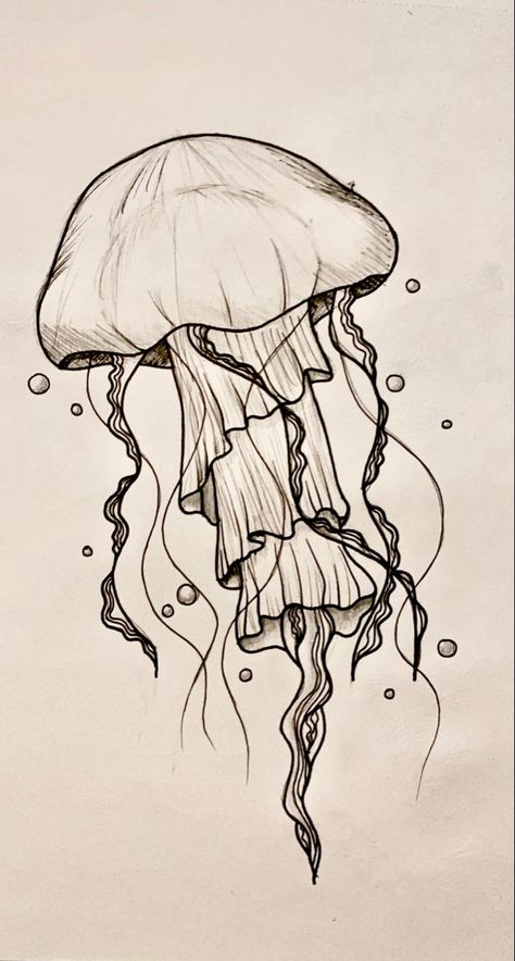 Jellyfish Art Drawing, 헬로키티 배경화면, Fineliner Art, Jellyfish Drawing, Jellyfish Art, Pen Art Drawings, Pencil Art Drawings, Art Drawings Sketches Creative, Book Art Drawings