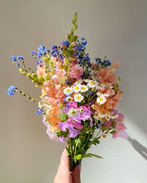 I’ve been a little frazzled all summer but at least I have pretty flowers to show for it 🌸👒☀️🐚🎀 How To Grow Flowers, Wild Flowers Aesthetic, Summer Flowers Wedding, Wild Flowers Bouquet, Colorful Flower Bouquet, Pretty Bouquets, August Flowers, Columbine Flower, Flowers For Wedding