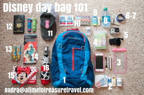 Disney Day Bag, Disney Travel Accessories, Theme Park Essentials, Bag Necessities, Disneyland Vacation Planning, Disney Trip Surprise, Packing List For Disney, Disney World Packing, Disney Surprise