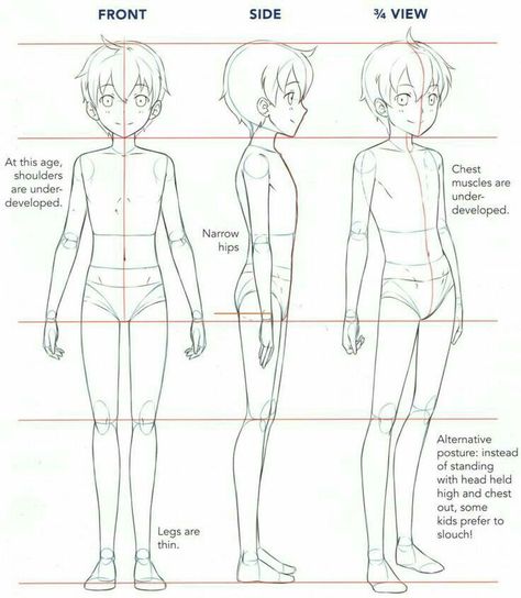 Boy Body, Drawing Anime Bodies, Body Tutorial, Drawing Body Poses, Anatomy Tutorial, Body Drawing Tutorial, Body Sketches, Character Model Sheet, Manga Drawing Tutorials