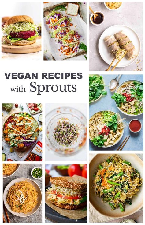 Alfalfa Sprout Recipes, Recipes With Alfalfa Sprouts, Recipes With Sprouts, Alfalfa Sprouts Recipes, Ideas Para Comer, Lentil Sprouts, Bean Sprout Recipes, Veggies Garden, Pegan Recipes